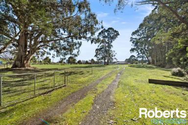 Farm Sold - TAS - Hampshire - 7321 - Country comfort  (Image 2)