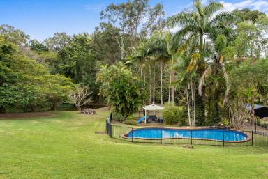 Farm Sold - QLD - Doonan - 4562 - UNDER CONTRACT - Location, Lifestyle and Lovely Views  (Image 2)