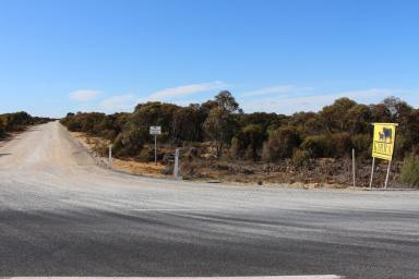 Farm For Sale - SA - Pinnaroo - 5304 - For Sale Taking Offers Above 7.5 Million  (Image 2)