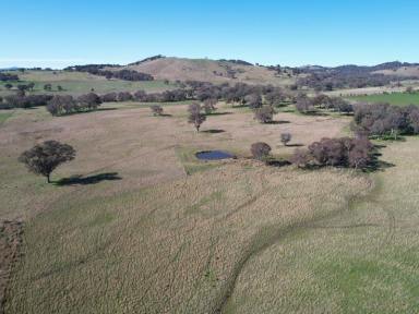 Farm Sold - NSW - Bookham - 2582 - High Rainfall Breeding & Grazing Opportunity  (Image 2)