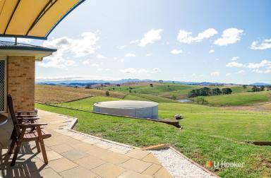 Farm Sold - NSW - Candelo - 2550 - SPECTACULAR VIEWS, LARGE SINGLE LEVEL HOME.  (Image 2)