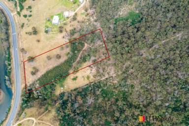 Farm For Sale - NSW - Nelligen - 2536 - ACRES WITH A VIEW  (Image 2)