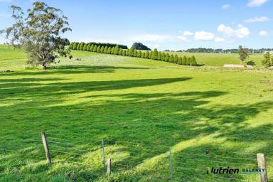 Farm Sold - VIC - Darnum - 3822 - 10 Acre Paradise - 120+ Years in the Family  (Image 2)