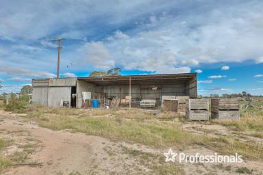 Farm Sold - NSW - Curlwaa - 2648 - Acres of Opportunity  (Image 2)