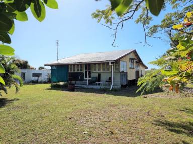 Farm Sold - QLD - Bowen - 4805 - In the Shadows of Mt Pring  (Image 2)