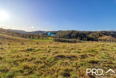 Farm Sold - NSW - Upper Eden Creek - 2474 - Peaceful 22 Acres with Creek  (Image 2)