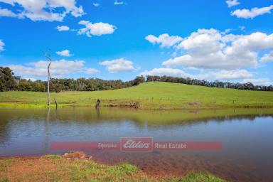 Farm For Sale - WA - Balingup - 6253 - GREAT OPPORTUNITY WITH PLENTY OF POTENTIAL  (Image 2)