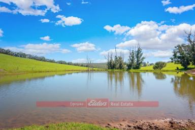 Farm For Sale - WA - Balingup - 6253 - GREAT OPPORTUNITY WITH PLENTY OF POTENTIAL  (Image 2)