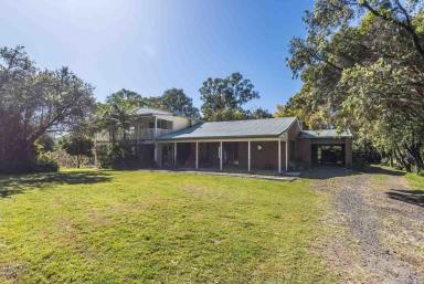 Farm For Sale - NSW - Homeleigh - 2474 - LARGE FAMLY HOME ON A  MANAGEABLE PARCEL OF LAND  (Image 2)
