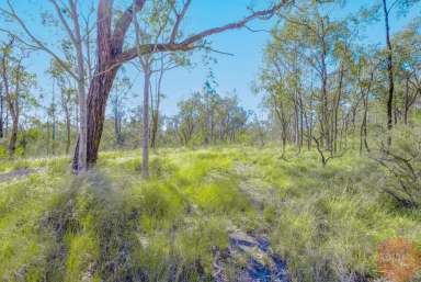 Farm Sold - NSW - North Rothbury - 2335 - FANTASTIC OPPORTUNITY - Vacant 10 ACRES  (Image 2)