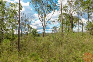 Farm Sold - NSW - North Rothbury - 2335 - FANTASTIC OPPORTUNITY - Vacant 10 ACRES  (Image 2)