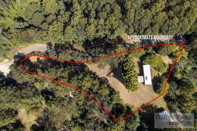 Farm Sold - NSW - Bellingen - 2454 - Lifestyle with Privacy  (Image 2)