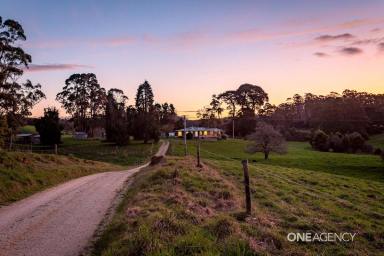 Farm For Sale - TAS - Wynyard - 7325 - Your Private Country Oasis!  (Image 2)