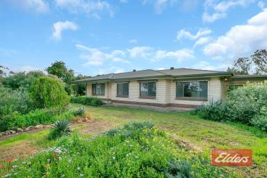 Farm Sold - SA - Roseworthy - 5371 - UNDER CONTRACT BY CHRISTOPHER HURST  (Image 2)