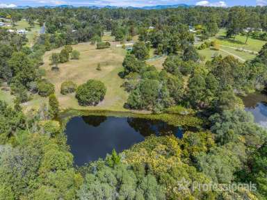 Farm Sold - QLD - Araluen - 4570 - So Close To Town And So Much Potential!  (Image 2)