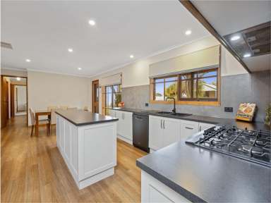 Farm Sold - VIC - Merbein - 3505 - Size and Space and Awesome Shedding  (Image 2)