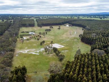 Farm Sold - VIC - Englefield - 3407 - 40 acres of red gum country  (Image 2)