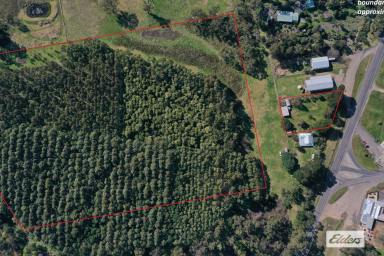 Farm For Sale - VIC - Woodside - 3874 - Plenty of Options right in the centre of town!  (Image 2)