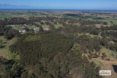Farm For Sale - VIC - Woodside - 3874 - Plenty of Options right in the centre of town!  (Image 2)