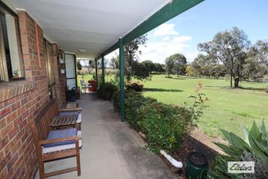 Farm Sold - QLD - Hatton Vale - 4341 - 2.5 Acres of Country Bliss  (Image 2)