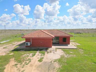 Farm Sold - NSW - Moree - 2400 - AFFORDABLE ACREAGE - A GREAT STARTER  (Image 2)