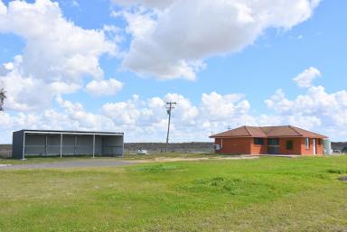 Farm Sold - NSW - Moree - 2400 - AFFORDABLE ACREAGE - A GREAT STARTER  (Image 2)