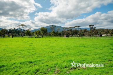 Farm Sold - VIC - Don Valley - 3139 - "HATTEN LODGE" 10 ACRES APPROX  (Image 2)
