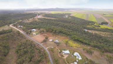 Farm Sold - QLD - Ilbilbie - 4738 - 23 acres with ocean views - Owners need sold!  (Image 2)