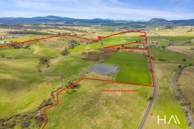 Farm Sold - TAS - Colebrook - 7027 - Immaculate 150ha in the Coal River Valley  (Image 2)