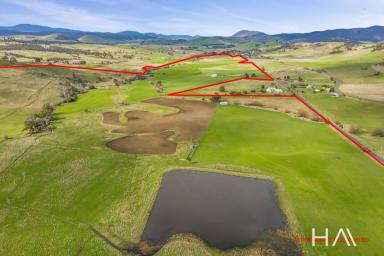 Farm Sold - TAS - Colebrook - 7027 - Immaculate 150ha in the Coal River Valley  (Image 2)