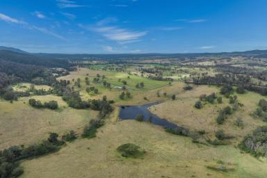 Farm Sold - NSW - Cobargo - 2550 - 360 ACRE FARM COBARGO  (Image 2)
