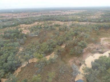 Farm Sold - QLD - Cunnamulla - 4490 - Western Queensland well watered cattle country + carbon contract  (Image 2)