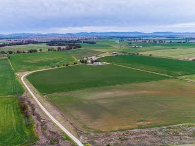 Farm Sold - NSW - Tamworth - 2340 - "Pontibah" High Production Irrigation  (Image 2)