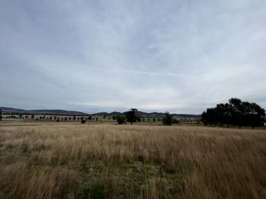 Farm Sold - NSW - Werris Creek - 2341 - Clean Slate  (Image 2)