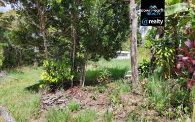 Farm Sold - QLD - Ravenshoe - 4888 - Blank canvas on a Spring creek on 3.3 acres!  (Image 2)