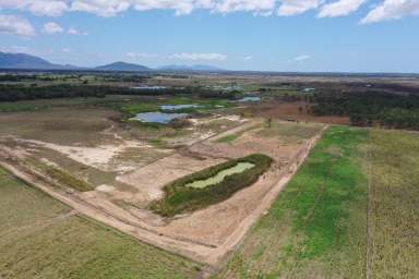 Farm Sold - QLD - Horseshoe Lagoon - 4809 - 150 Acre Improved Pasture Grazing Property - Carry up to 200 Head  (Image 2)