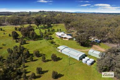 Farm Sold - VIC - Shelbourne - 3515 - "IRONBARK LODGE"
SPACIOUS SOLAR PASSIVE HOMESTEAD ON 42 ACRES WITH GREAT SHEDDING  (Image 2)