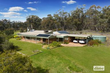 Farm Sold - VIC - Shelbourne - 3515 - "IRONBARK LODGE"
SPACIOUS SOLAR PASSIVE HOMESTEAD ON 42 ACRES WITH GREAT SHEDDING  (Image 2)