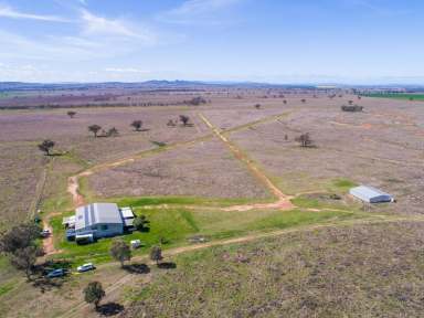 Farm Sold - NSW - Manilla - 2346 - Wake Up To Water Views  (Image 2)