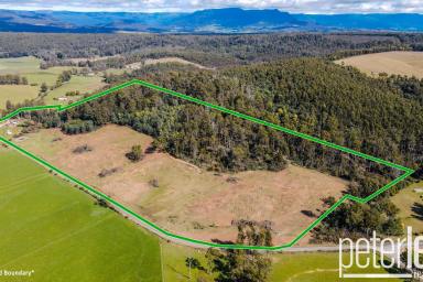 Farm Sold - TAS - Quamby Brook - 7304 - Another Property SOLD SMART by Peter Lees Real Estate  (Image 2)