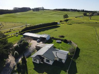 Farm Sold - TAS - Irishtown - 7330 - Country Lifestyle! - 4 bedroom farmhouse, large shed & 8 acres  (Image 2)