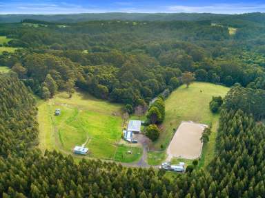 Farm Sold - VIC - Tanybryn - 3249 - A PRIVATE, SUSTAINABLE, RETREAT  (Image 2)