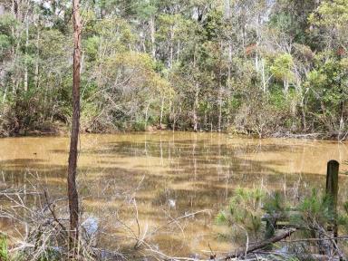 Farm Sold - QLD - Blackbutt - 4314 - 9.6 Acres with large Dam  (Image 2)