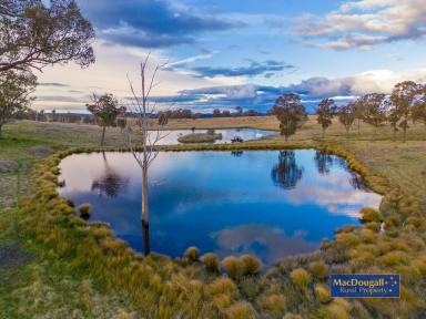 Farm Sold - NSW - Armidale - 2350 - Primary Production, Spectacular Location  (Image 2)