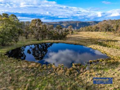 Farm Sold - NSW - Armidale - 2350 - Primary Production, Spectacular Location  (Image 2)