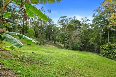 Farm Sold - QLD - Coondoo - 4570 - ENCHANTED HINTERLAND LIFESTYLE  (Image 2)