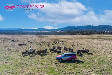 Farm For Sale - NSW - Dundee - 2370 - 12 Mile  (Image 2)