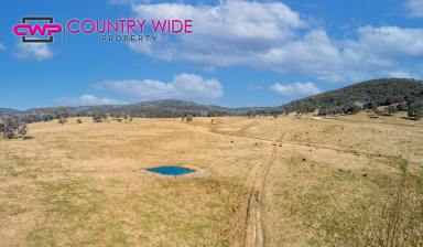 Farm For Sale - NSW - Dundee - 2370 - 12 Mile  (Image 2)