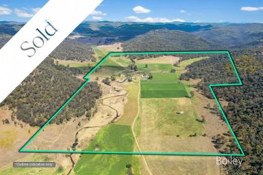 Farm Sold - NSW - Denman - 2328 - 371 ACRES | PROTECTED, PRIVATE & PRODUCTIVE  (Image 2)