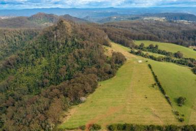 Farm Sold - NSW - Comboyne - 2429 - Ideal Lifestyle Retreat *CONTRACTS EXCHANGED*  (Image 2)